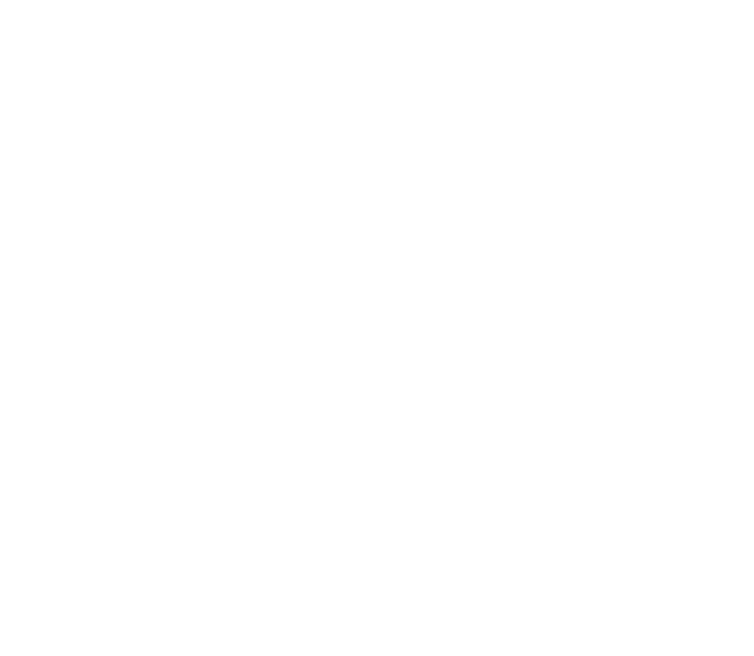 logo-action-immobilier-white