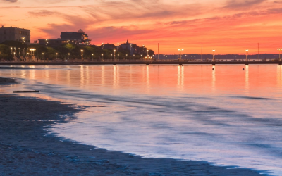Investir à Arcachon en 2024 : rareté foncière, rendement locatif assuré