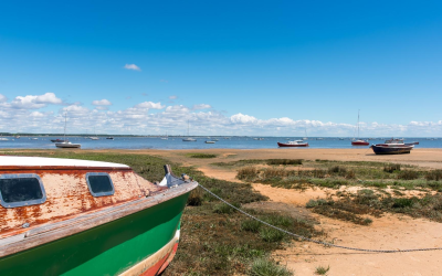 Arcachon immobilier 2024 comprendre hausse, acheteurs, risques et stratégies clés