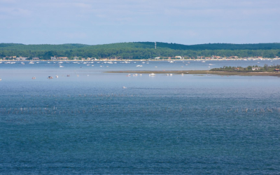 Arcachon défie la baisse nationale avec des prix immobiliers records